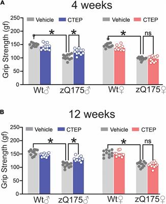 Metabotropic Glutamate Receptor 5 Antagonism Reduces Pathology and Differentially Improves Symptoms in Male and Female Heterozygous zQ175 Huntington’s Mice